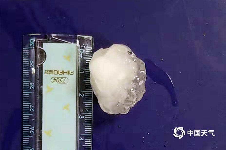 《神龍武士》首曝霸氣NPC 最強(qiáng)職業(yè)導(dǎo)師將登場(chǎng)