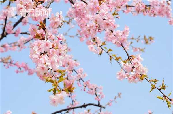 發(fā)家致富寶典 《自由之戰(zhàn)2》生產(chǎn)系統(tǒng)揭秘[圖]