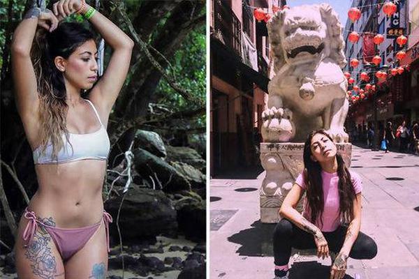 飛升上神 《三生三世十里桃花》和白淺一起修仙