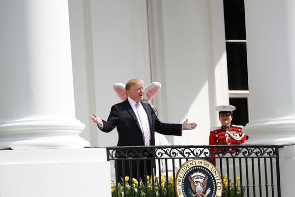 漫天花色正芳菲 《?；ǖ馁N身高手》美人作戰(zhàn)