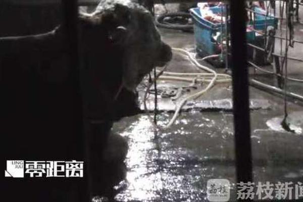 硬核科幻終于來(lái)了 《零界點(diǎn)》預(yù)約官網(wǎng)今日上線(xiàn)