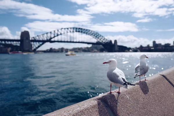 《問(wèn)道》手游3月資料片全新降級(jí)功能開(kāi)放