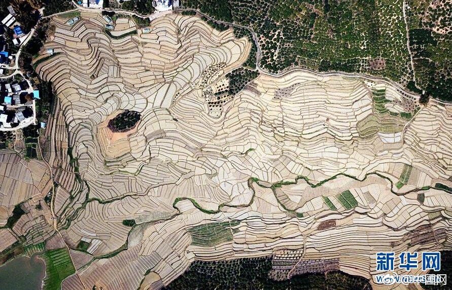 《神龍武士》首曝霸氣NPC 最強(qiáng)職業(yè)導(dǎo)師將登場(chǎng)