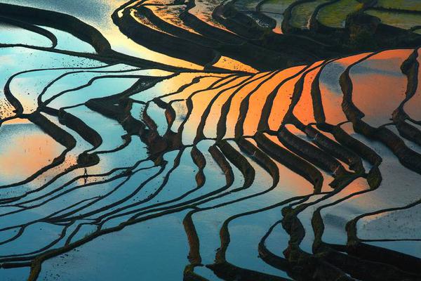 驅(qū)散眼前的黑暗 《生死狙擊》手游圣光騎士降臨