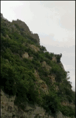 《魔龍世界》最危險(xiǎn)生物合集