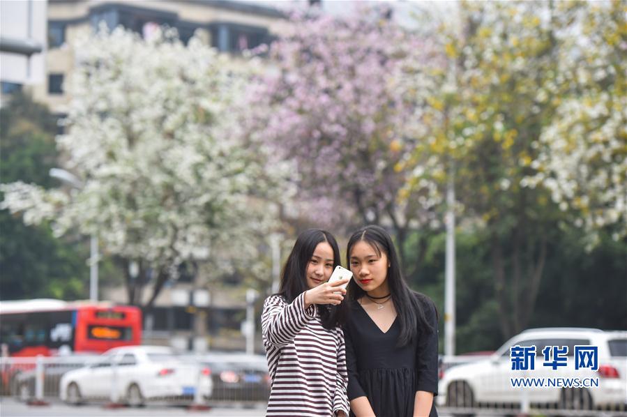 拯救萌新 《不思議迷宮》資料片專(zhuān)題時(shí)裝大放送