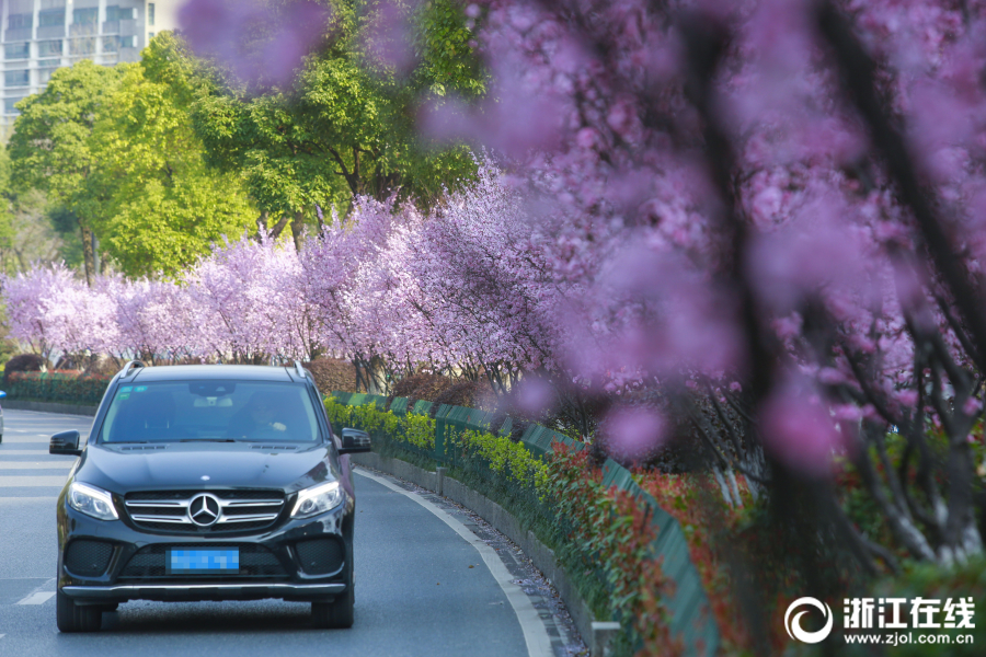 沒(méi)有最強(qiáng)只有最適合 《十三煞》煞使解讀