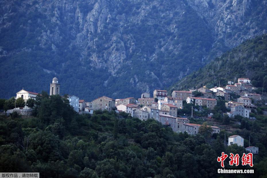 神兵猛將助英雄《小小空城計(jì)》帶你認(rèn)知兵種