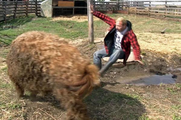 雙英雄齊發(fā) 《海島奇兵》全新大版本正式更新