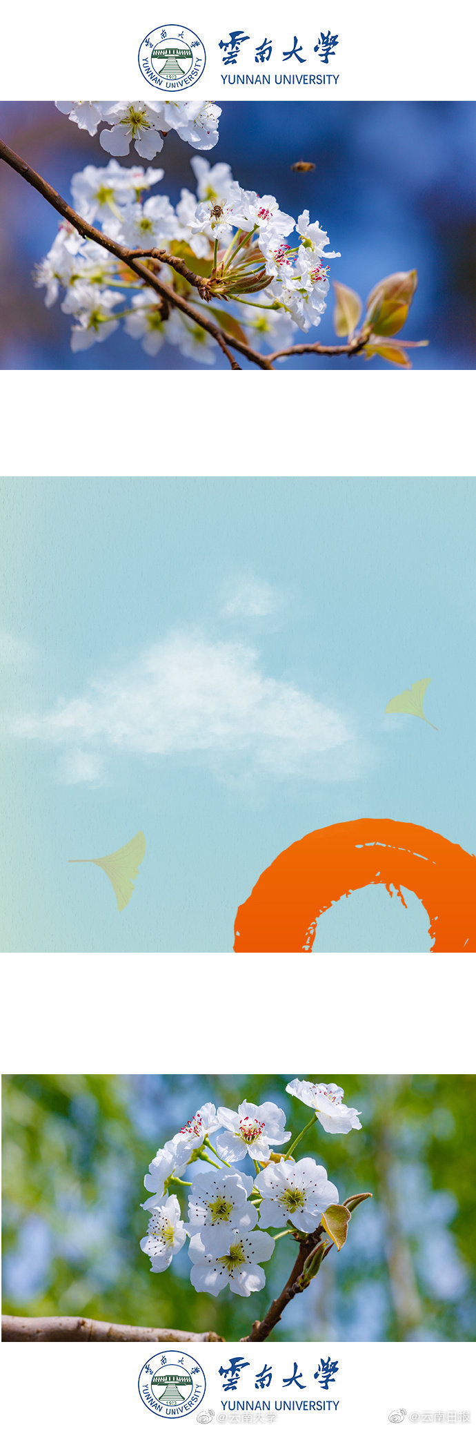 第七屆季后賽來(lái)襲 《天下》手游PK熱潮再升級(jí)