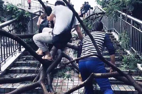 雙英雄齊發(fā) 《海島奇兵》全新大版本正式更新