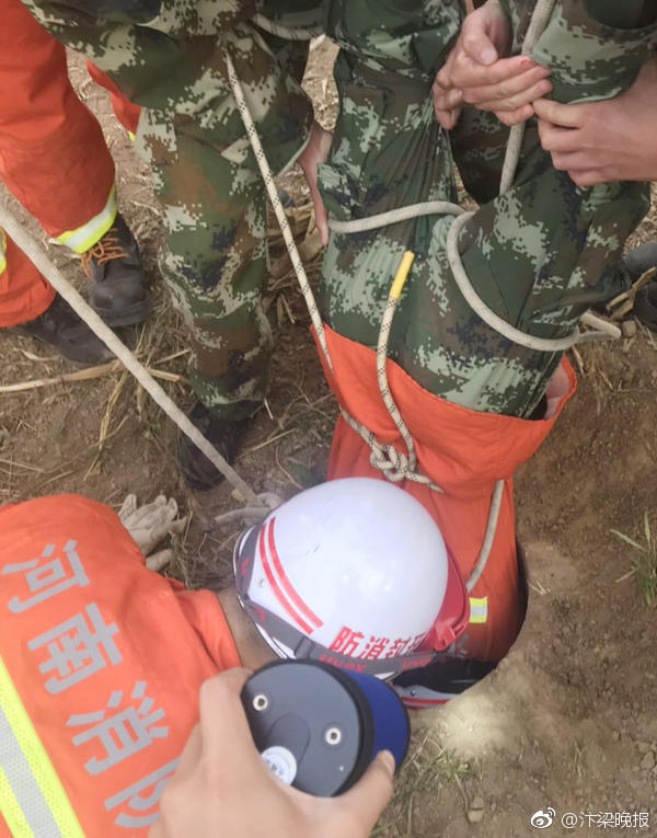 漫天花色正芳菲 《?；ǖ馁N身高手》美人作戰(zhàn)