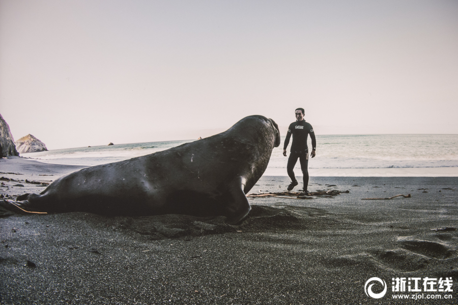 《空城計(jì)》首個(gè)資料片將啟 精彩內(nèi)容搶先看[圖]