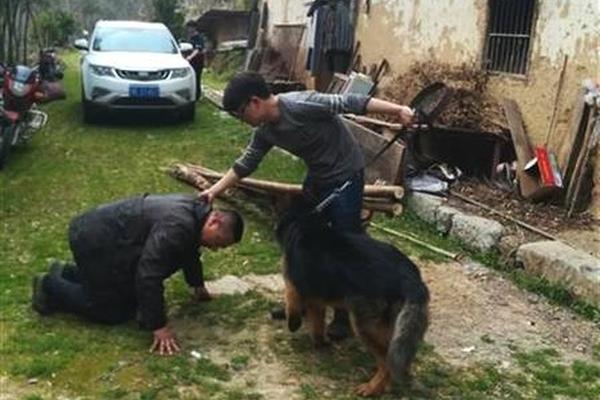 帥提督帶帶我 《艦姬》技術(shù)首測(cè)28日發(fā)船