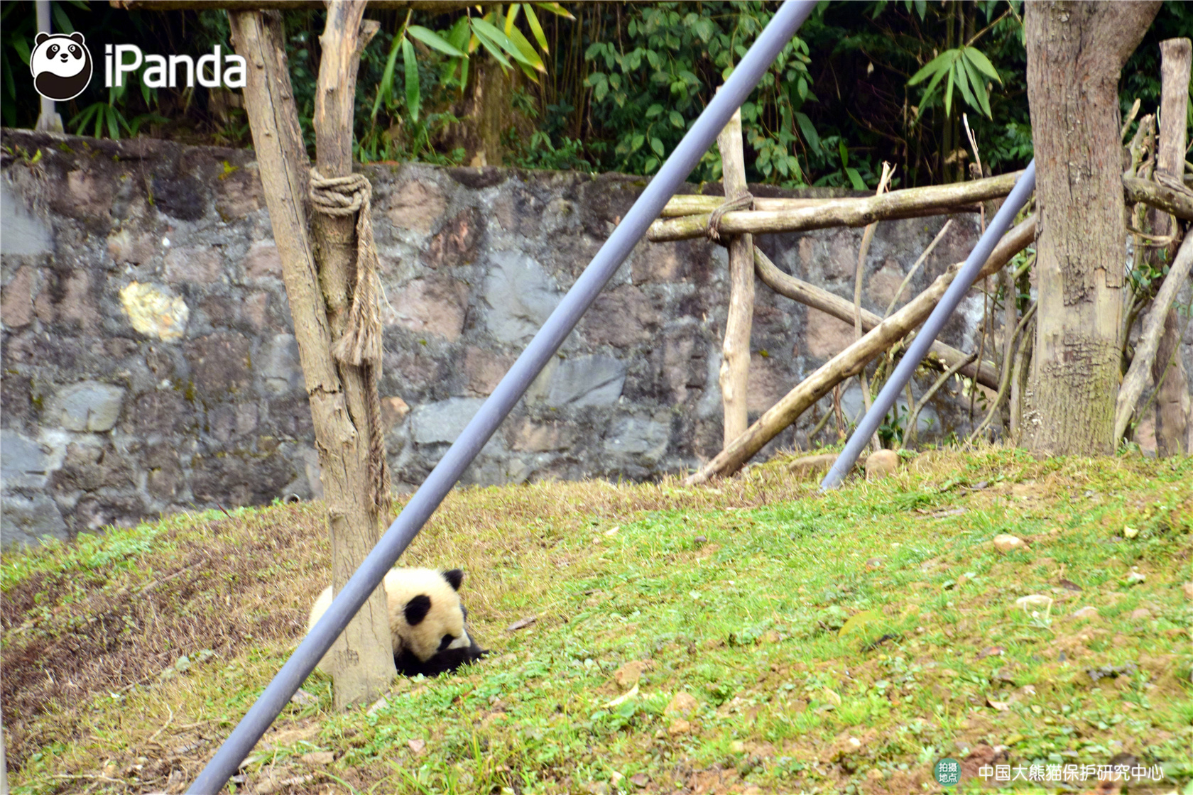 《街球聯(lián)盟》新版本玩法解讀 A級(jí)球員免費(fèi)拿