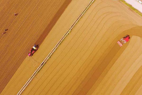 最終章預(yù)告 《主宰無(wú)雙》手游妖怪大盤(pán)點(diǎn)