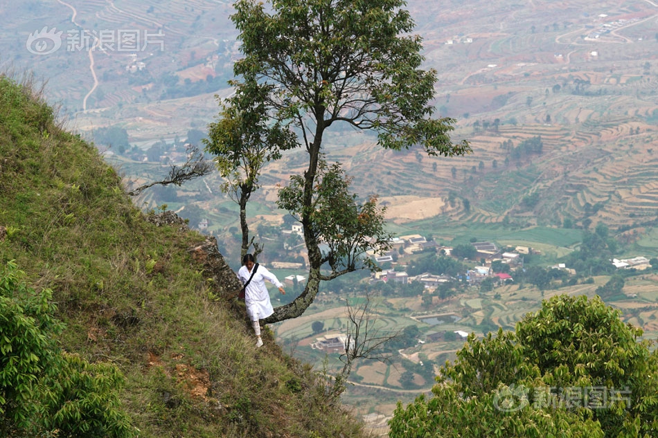 《街球聯(lián)盟》新版本將開(kāi)啟 S級(jí)小紫助陣韋德